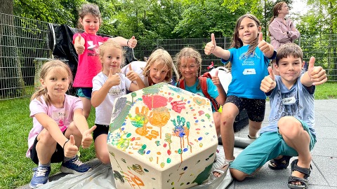 Stark ohne Gewalt: Selbstbehauptung & Klettern für Kinder - 15. April 2026