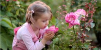Portlet Rosen Maedchen