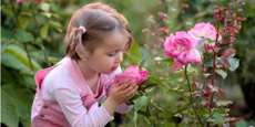 Portlet Rosen Maedchen