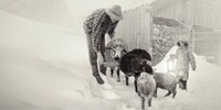 WK.Neu.2012..jpg