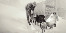 WK.Neu.2012..jpg