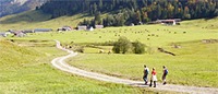 Schönenbach