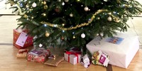 2017 Weihnachtsbaum kopfbild
