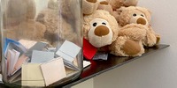 Bild 1 web