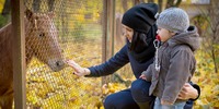 Ehrenamt Herbst