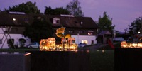 Homepage Nacht2