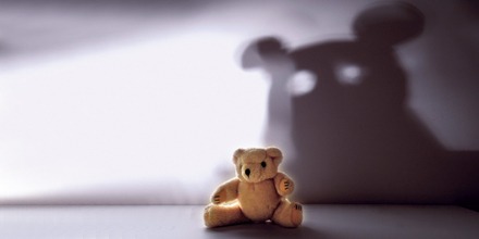 Kopfbild.Baer.