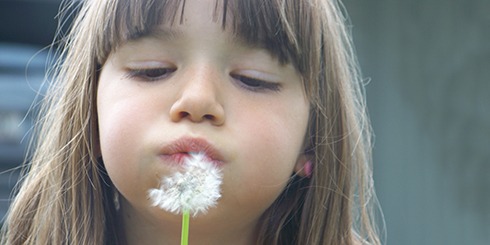 Pusteblume 2
