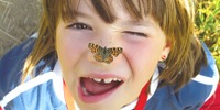 Schmetterling