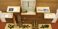 Shop Homepage 2