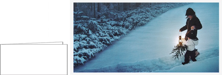 VK374 durch den Winterwald