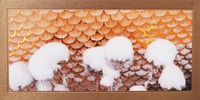 WK Holzschindeln