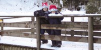 Weihnachtswichtel
