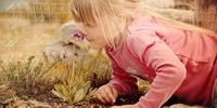 child 645434 Pezibear hp