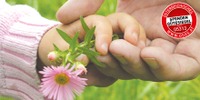 hand blume siegel