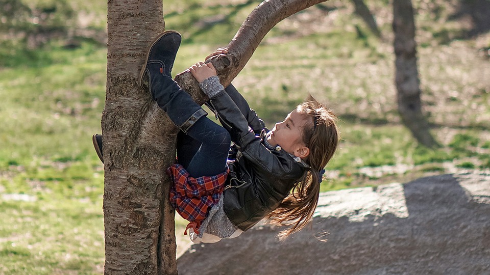 Mädchen klettert auf den Baum_web.jpg