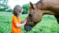 Spenden_Reittherapie_web.jpg