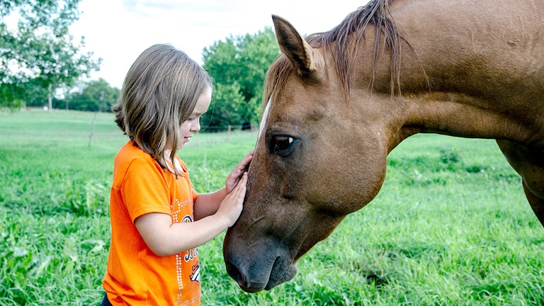 Spenden_Reittherapie_web.jpg