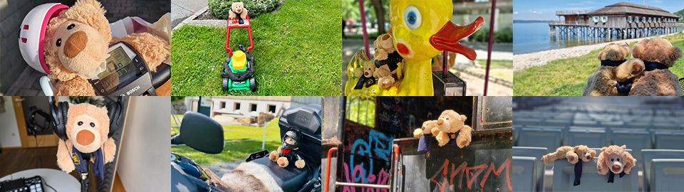 voki-bär-fotokollage3.png