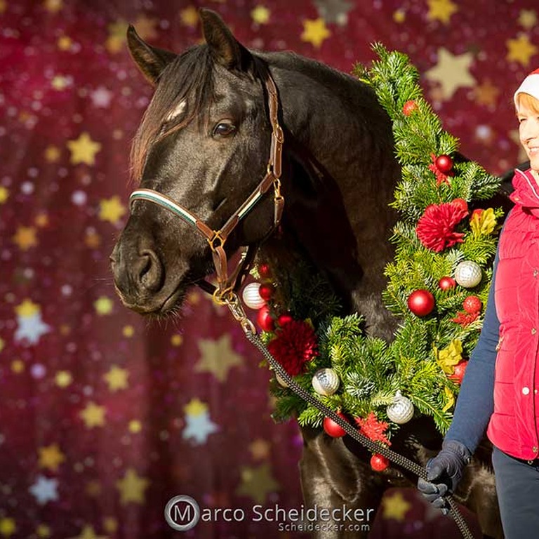 weihnachtsshooting_hoferstall_07.jpg