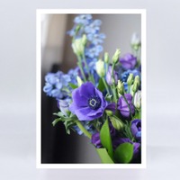 GK 048 Anemonen