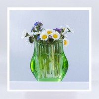 GK 057 Gänseblümchen