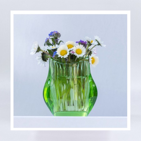 GK 057 Gänseblümchen