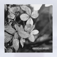 GK 060 Herzliches Beileid