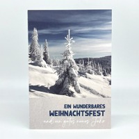VK 491 Winterpracht